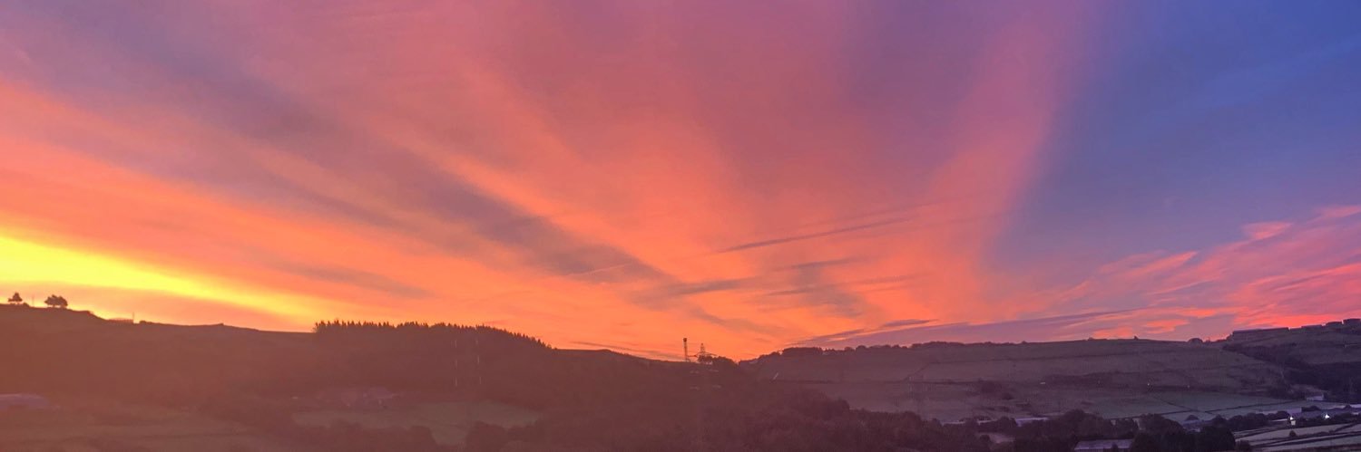 Portia Taylor banner