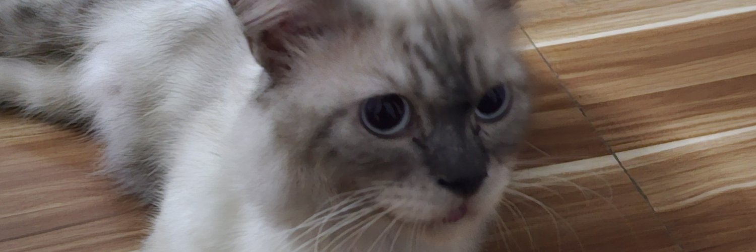capthndsme's profile banner image