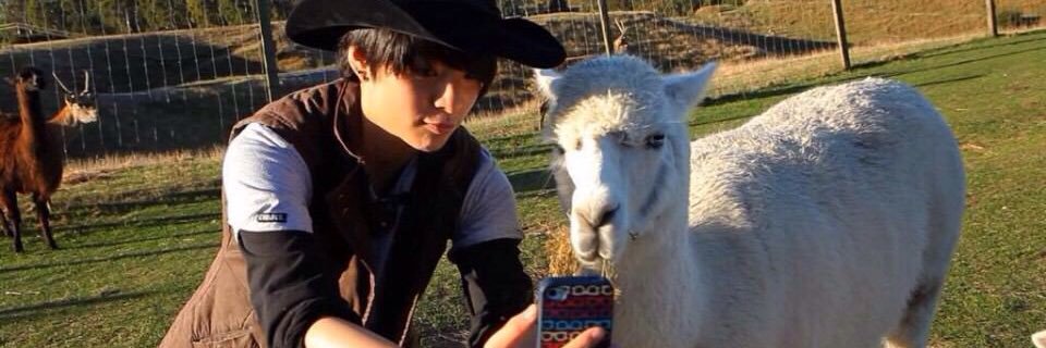 A_J_L_eee's profile banner image