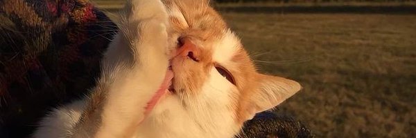 irmachuu_ Profile Banner