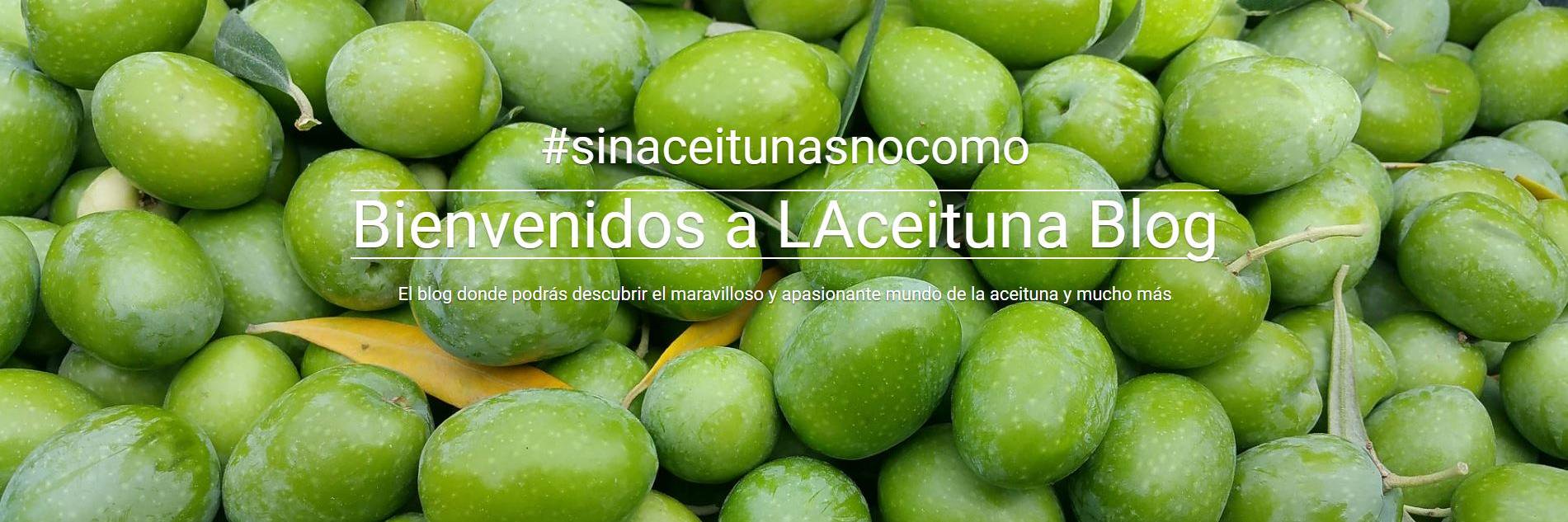 LAceituna Blog banner
