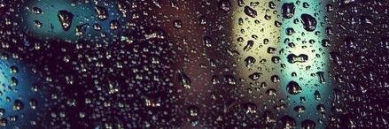 ZaneBaumane's profile banner image