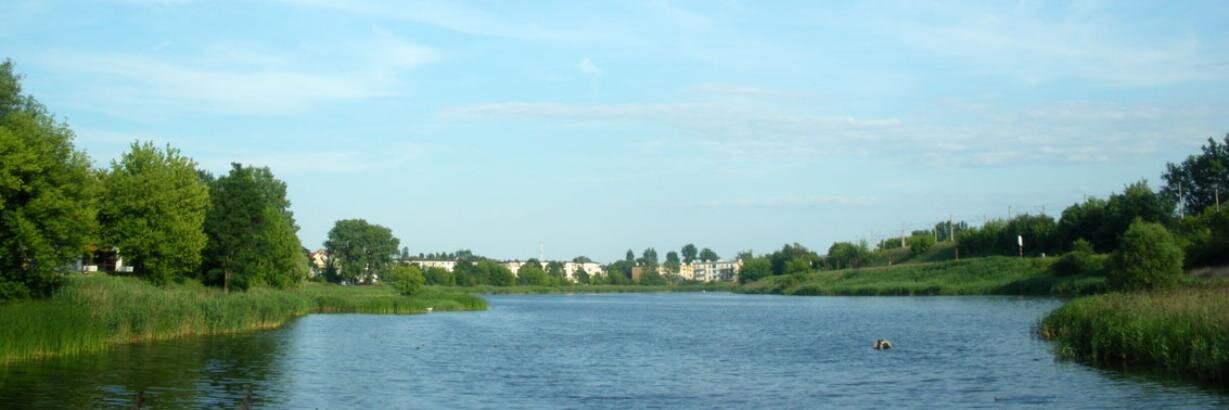 芝田文乃 SHIBATA Ayano◎ポーランド語翻訳 banner