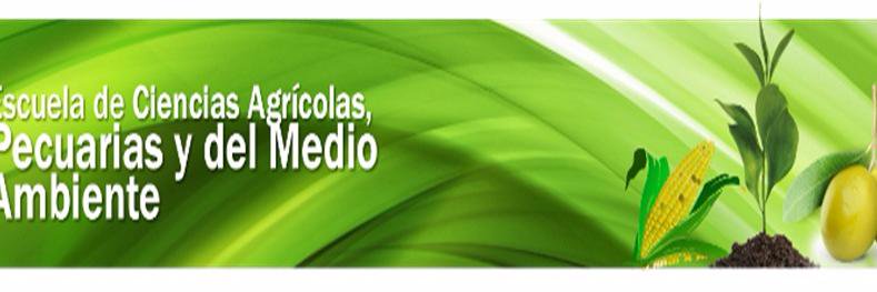 Componente practico banner