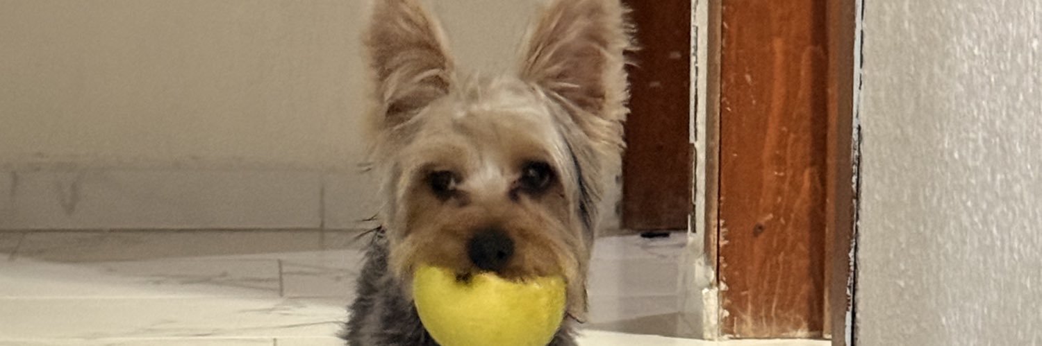 𝕊𝕥𝕖𝕗𝕒𝕟𝕪 ☼ banner
