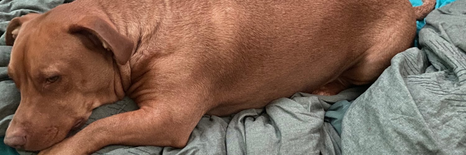 Kingdaltron's profile banner image