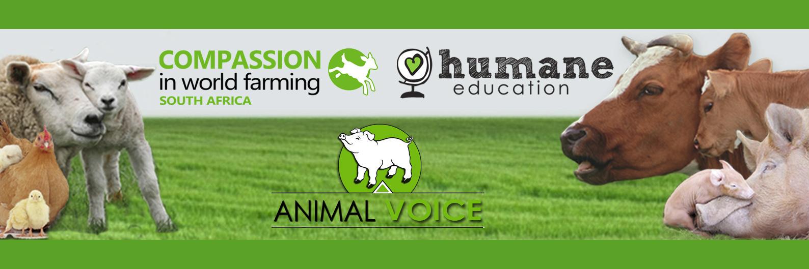 ciwfsa's profile banner image