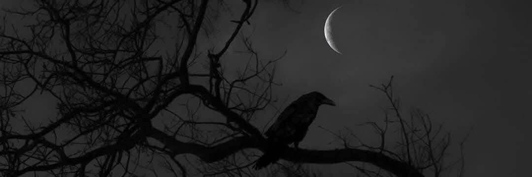 eccentricity4u's profile banner image