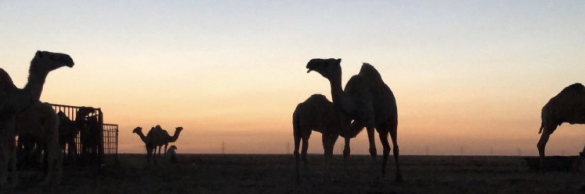 ☪︎ɑ̈ᓆgɹ̈ɹ̇ᓄ banner