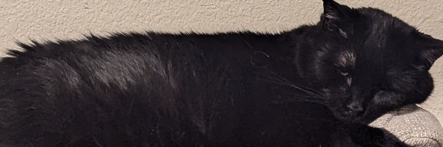KyleLatebeer's profile banner image