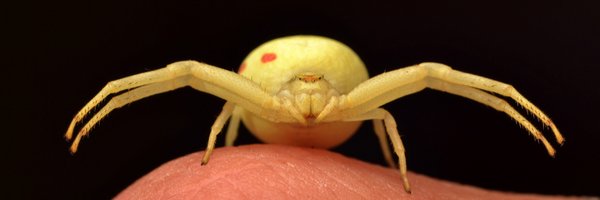 Tone_Killick Profile Banner