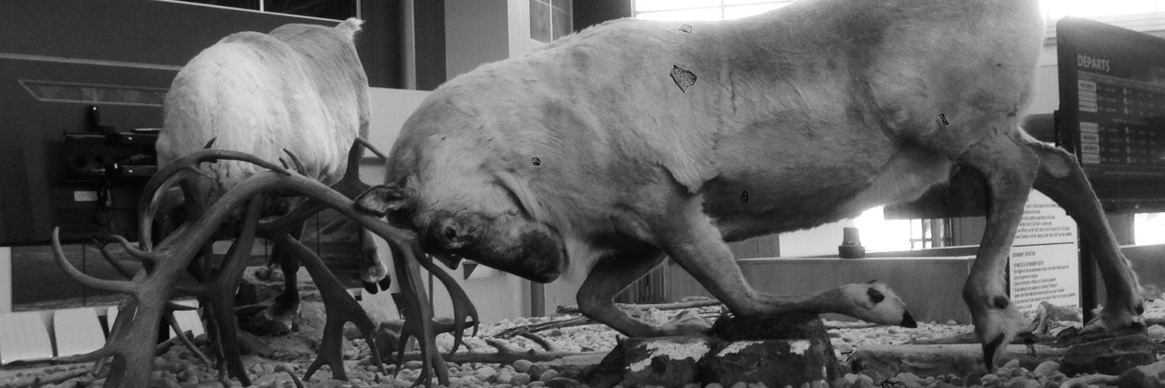 erwin armovit banner