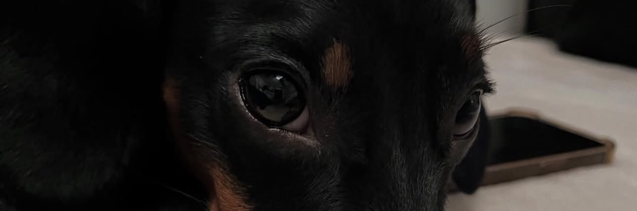 00__Besh's profile banner image