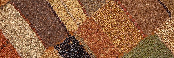 FutureOfEcology Profile Banner