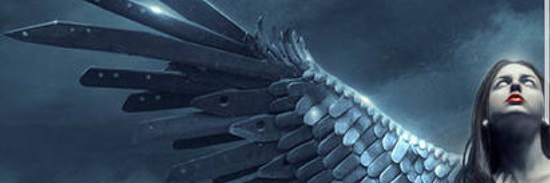 Spiraltiger's profile banner image