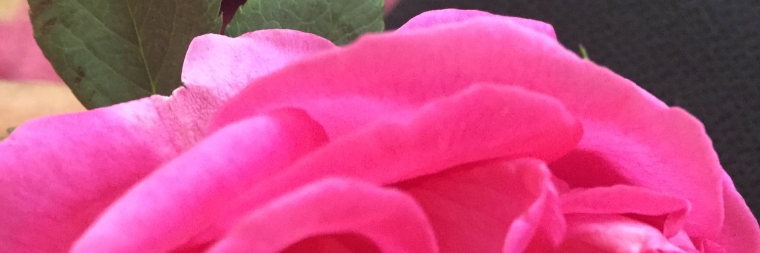 Hanodah123123's profile banner image