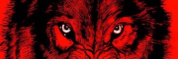 _PRZx's profile banner image
