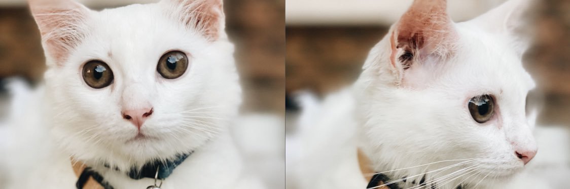 isranurfidya's profile banner image