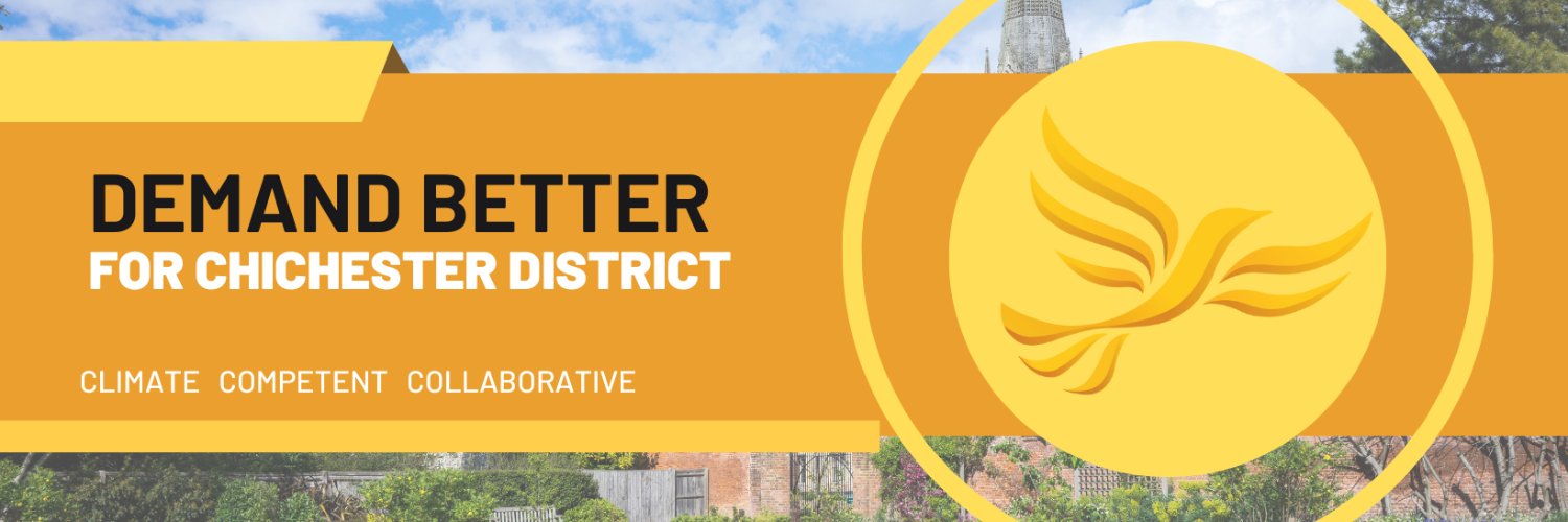 Chichester Lib Dems banner