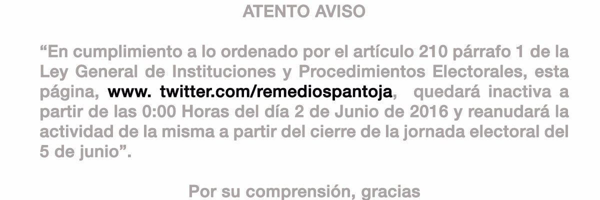 Remedios Pantoja banner