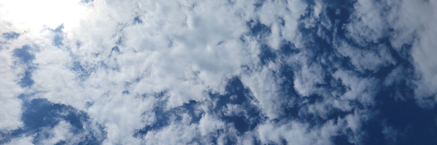TweetlessCooper's profile banner image