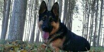 Alexiocon's profile banner image