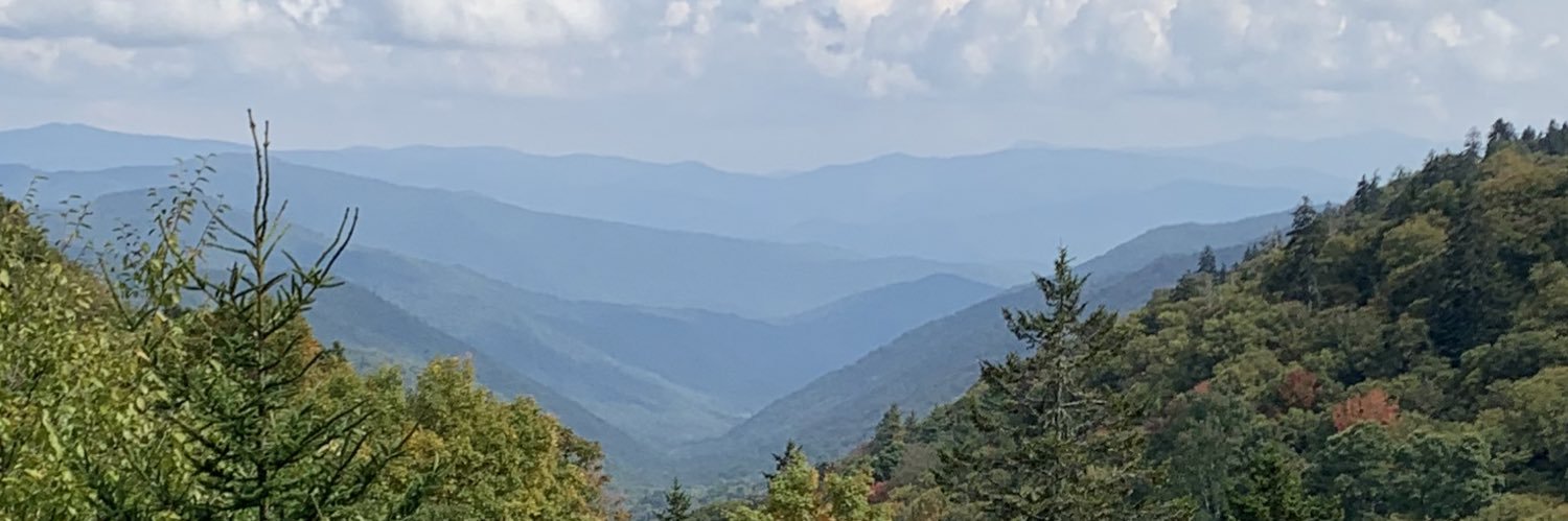 RobinJonesRJ's profile banner image