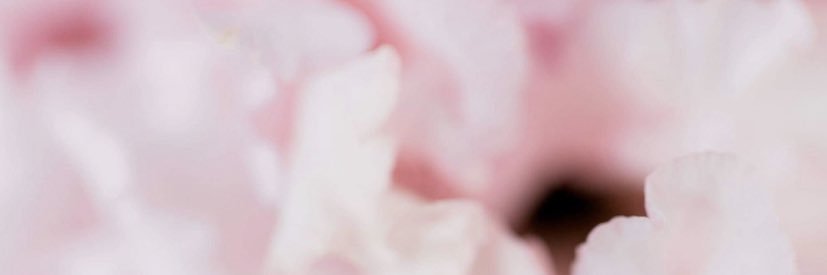 tsamito's profile banner image
