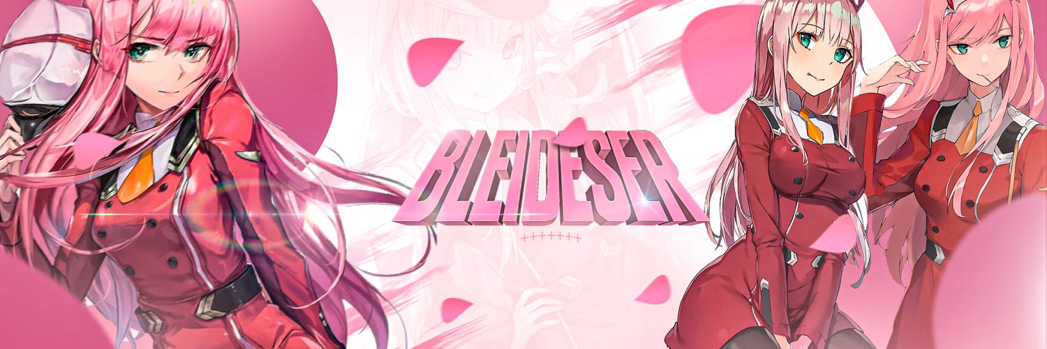 Bleideser banner