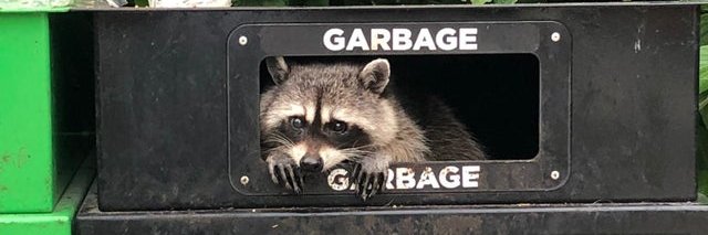 @kf@666.glitchwit.ch banner