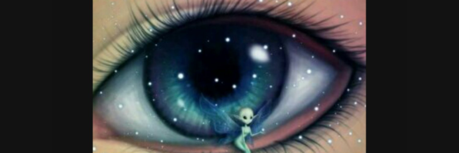 pertassedvixen's profile banner image