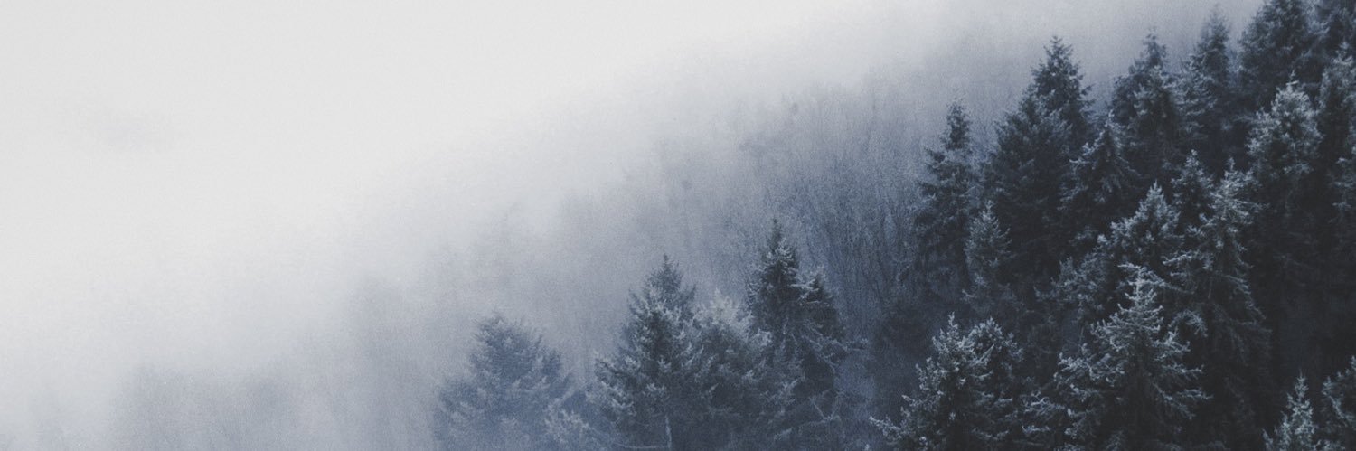 philipmuller's profile banner image