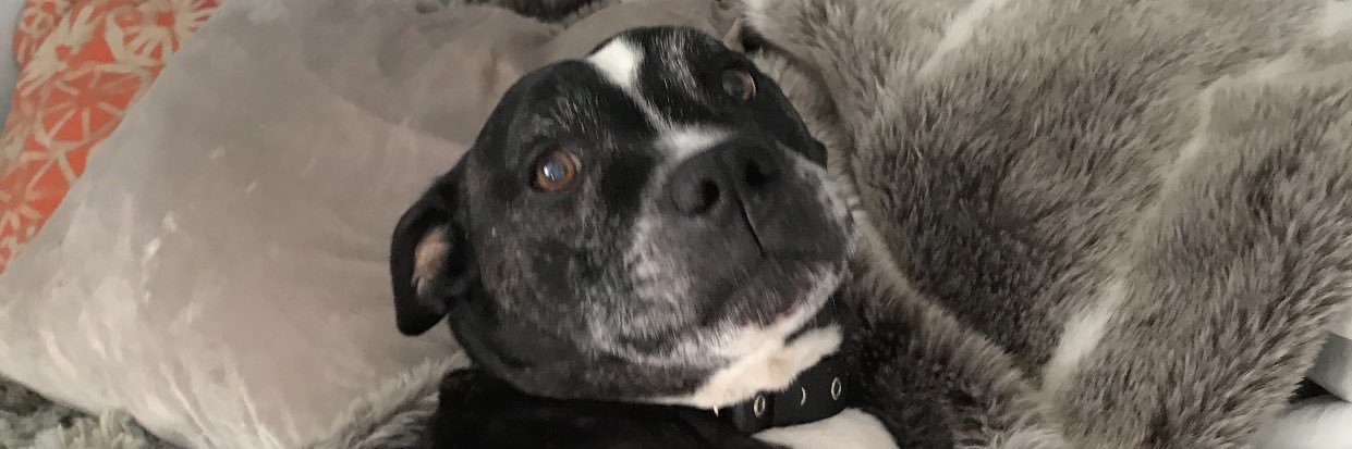 LeechJake's profile banner image