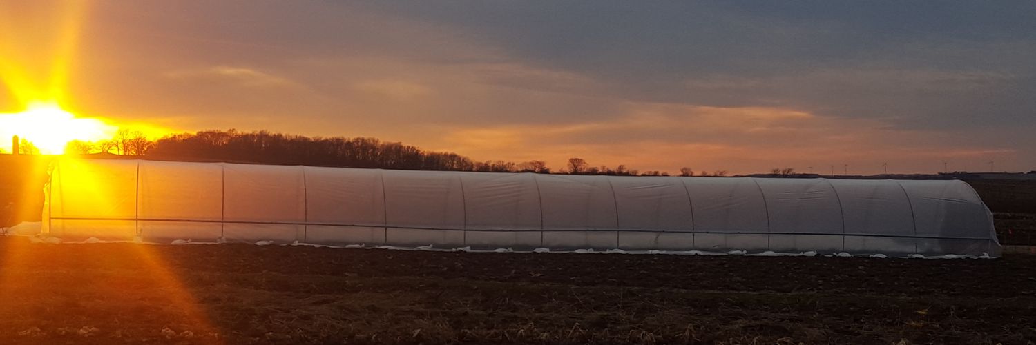 Peacefully Organic banner