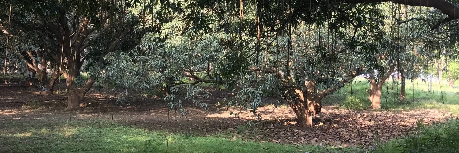 rjayal's profile banner image