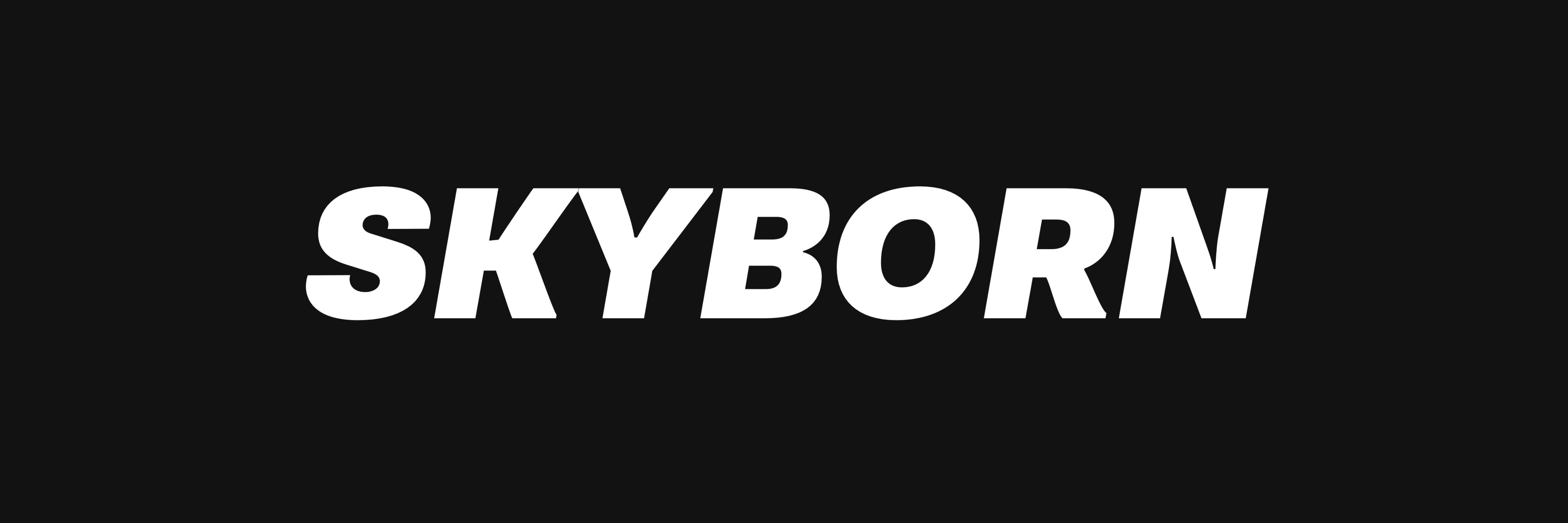skyborn's profile banner image