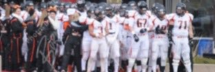 LWW FOOTBALL banner