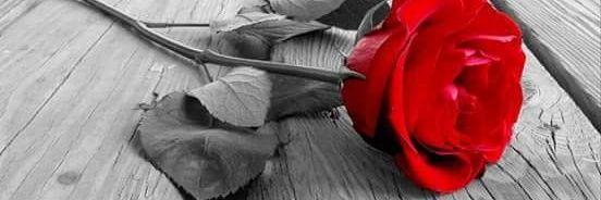 ZumbaMarya's profile banner image