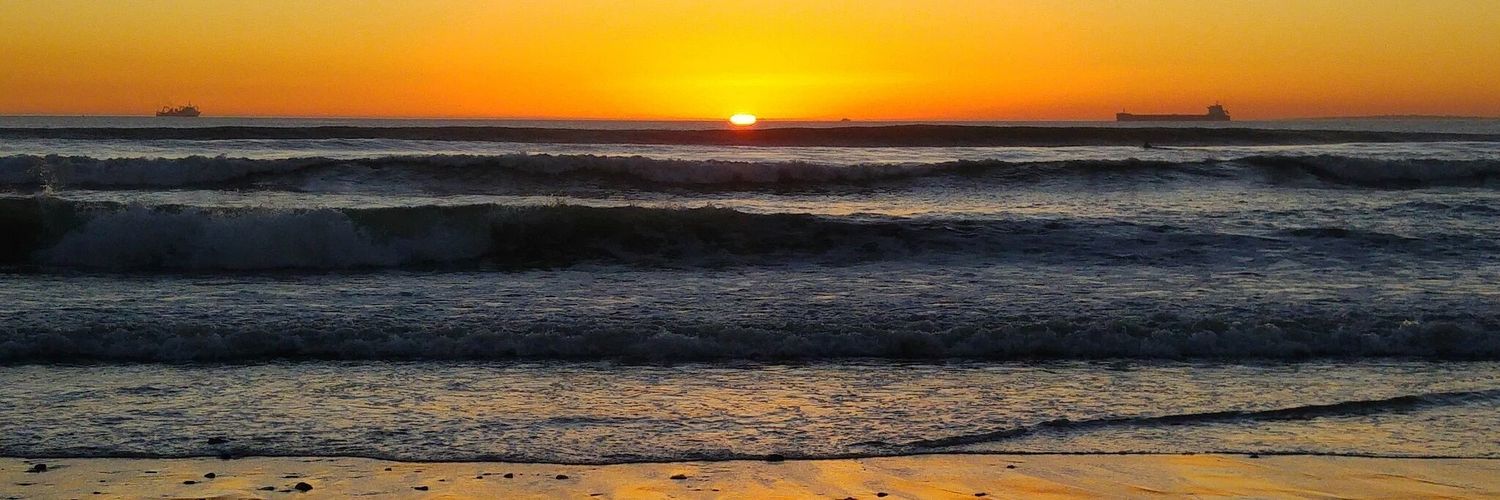 tonganim's profile banner image