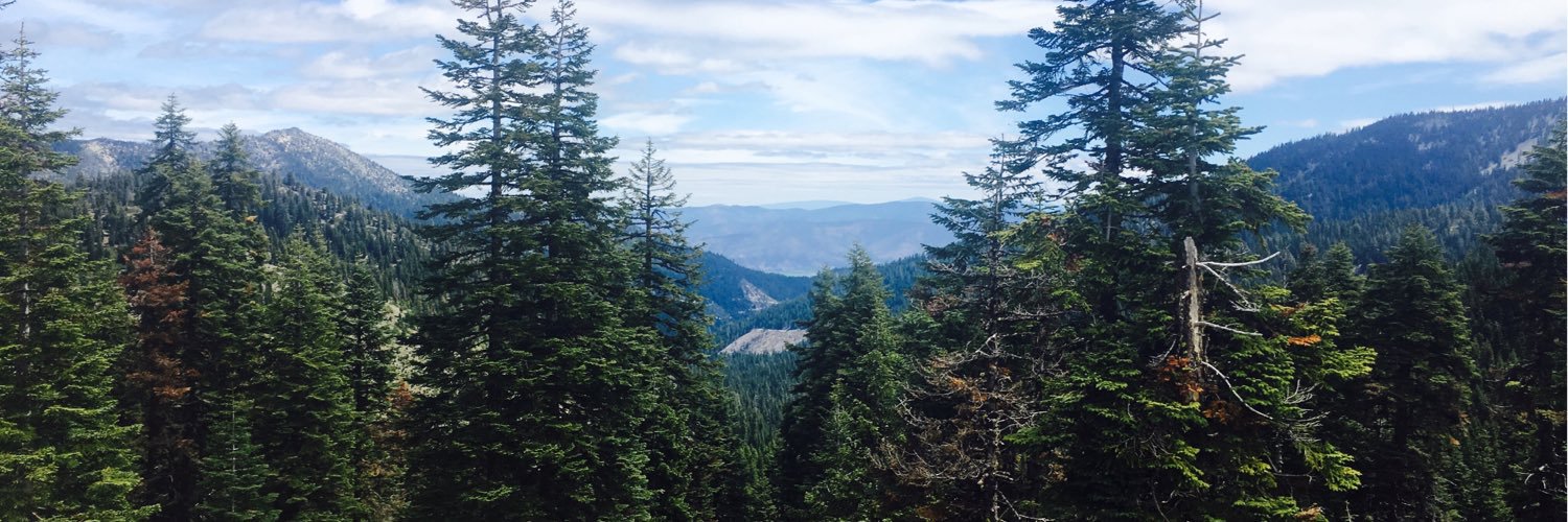 jmtunnell's profile banner image