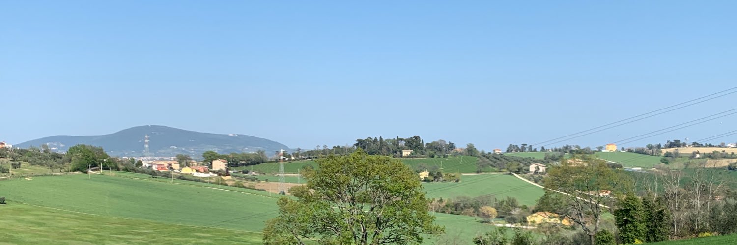 Massimiliano Polacco banner