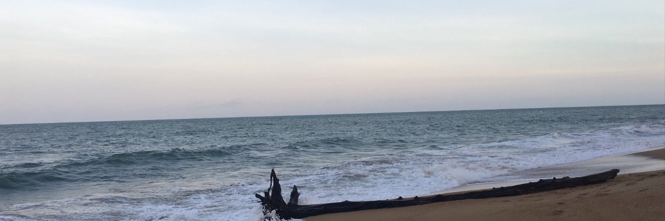jaszjasmin's profile banner image