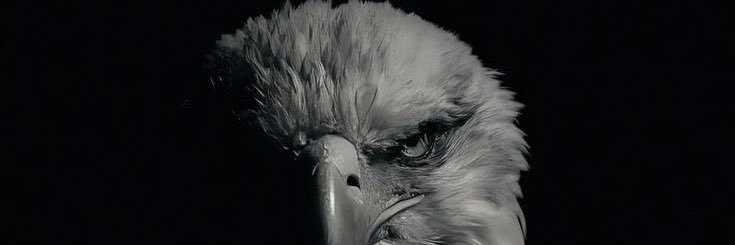 memisemih1's profile banner image
