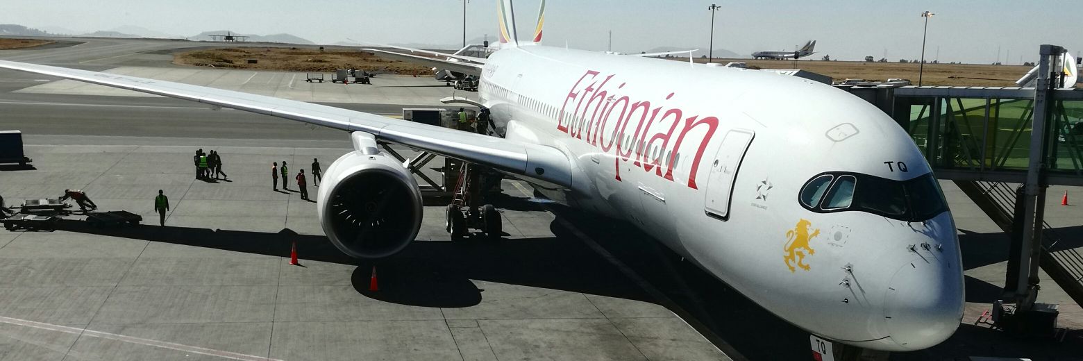 Mr. Wonderful banner