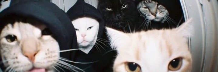 k4rines's profile banner image