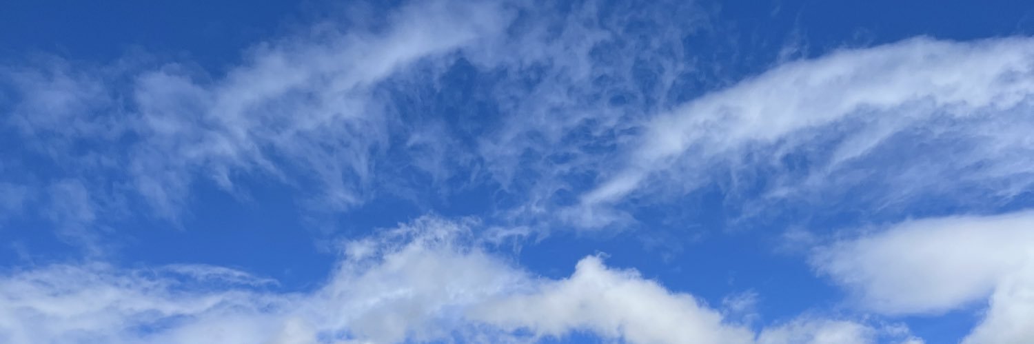 arinNRA's profile banner image