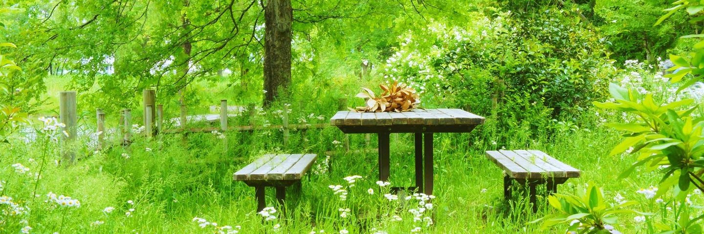 sumire1101's profile banner image