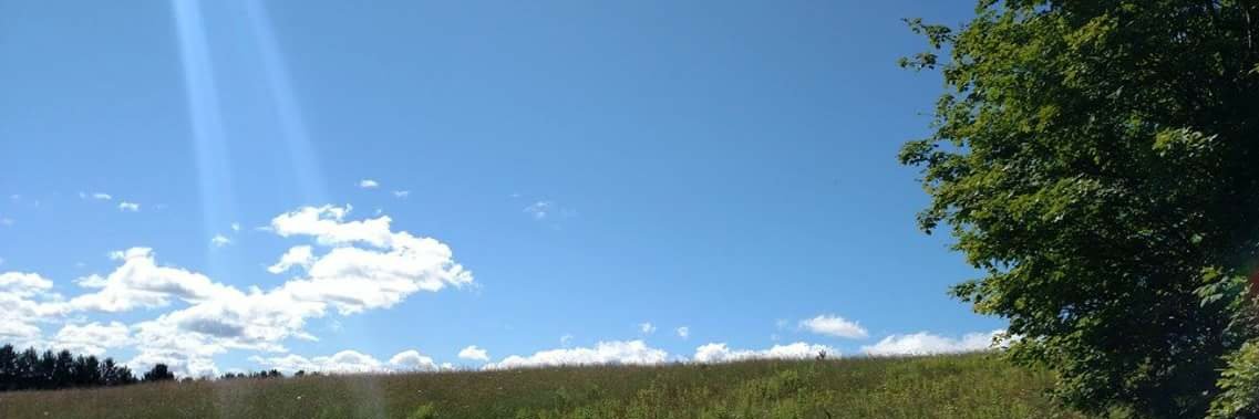 thinking_tiger3's profile banner image