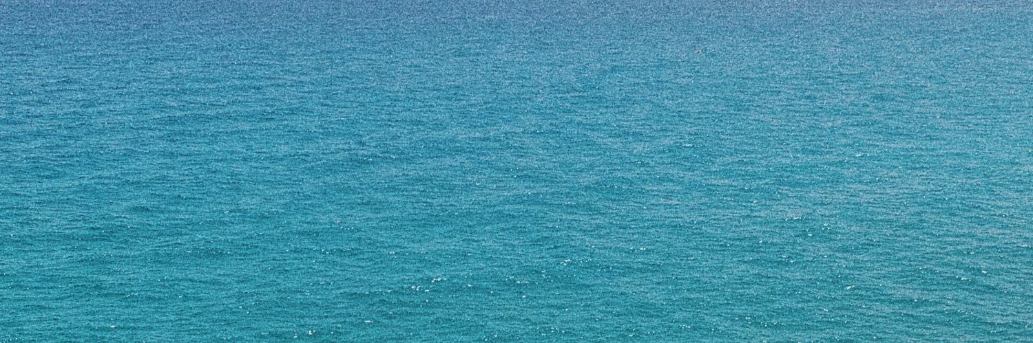 sandraro98's profile banner image