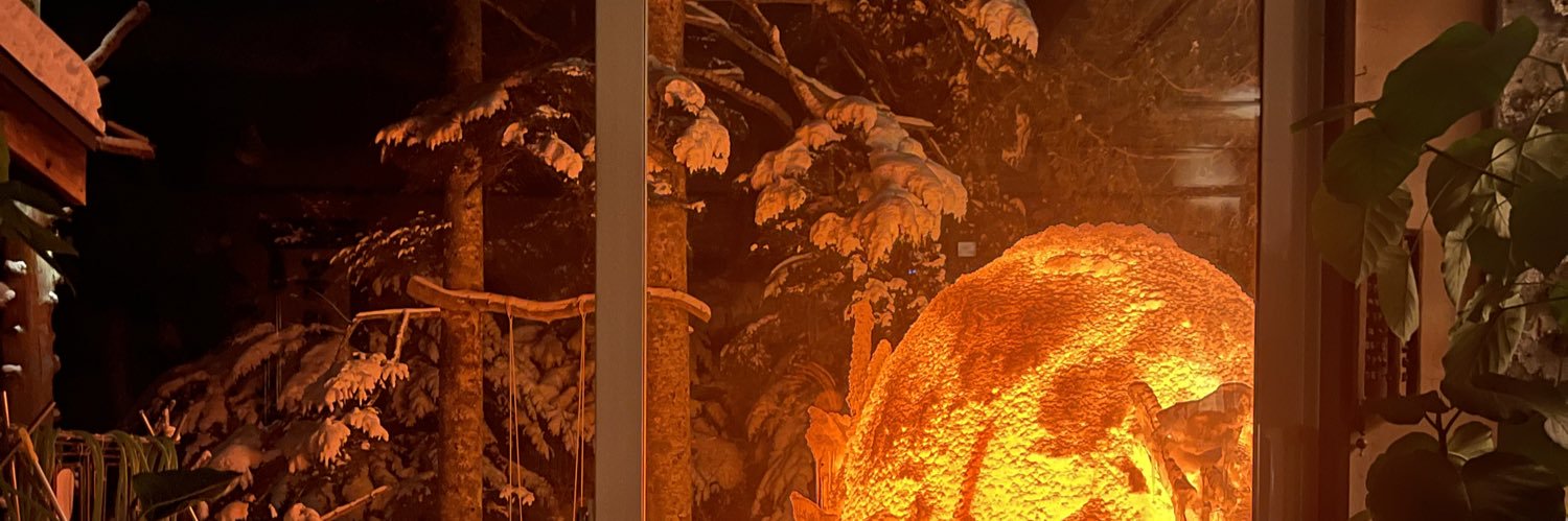 UENOU's profile banner image
